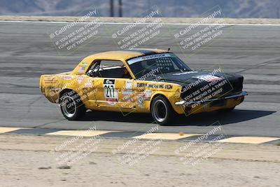 media/Oct-11-2025-Lucky Dog Racing (Sat) [[f5b53147c4]]/2-First Stint/4-Bowl/